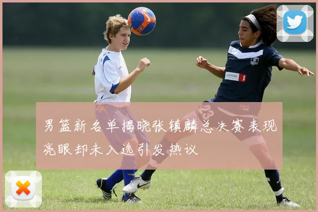 男篮新名单揭晓张镇麟总决赛表现亮眼却未入选引发热议